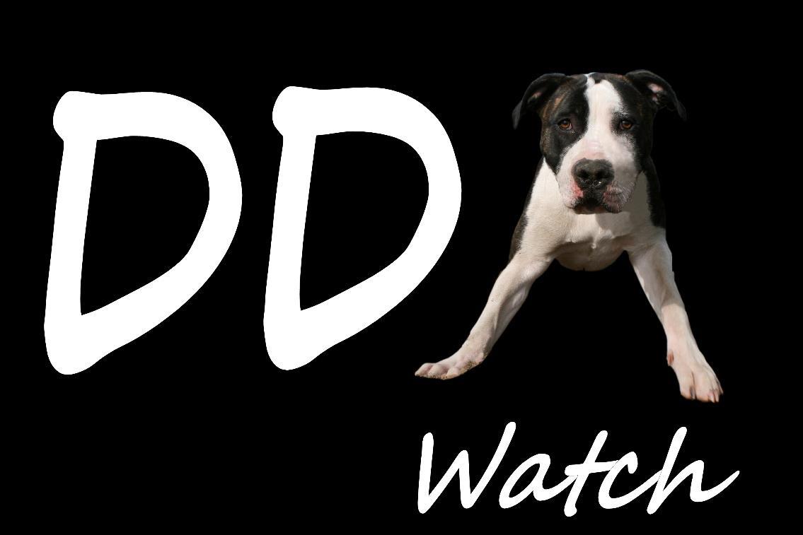 DDAWatch